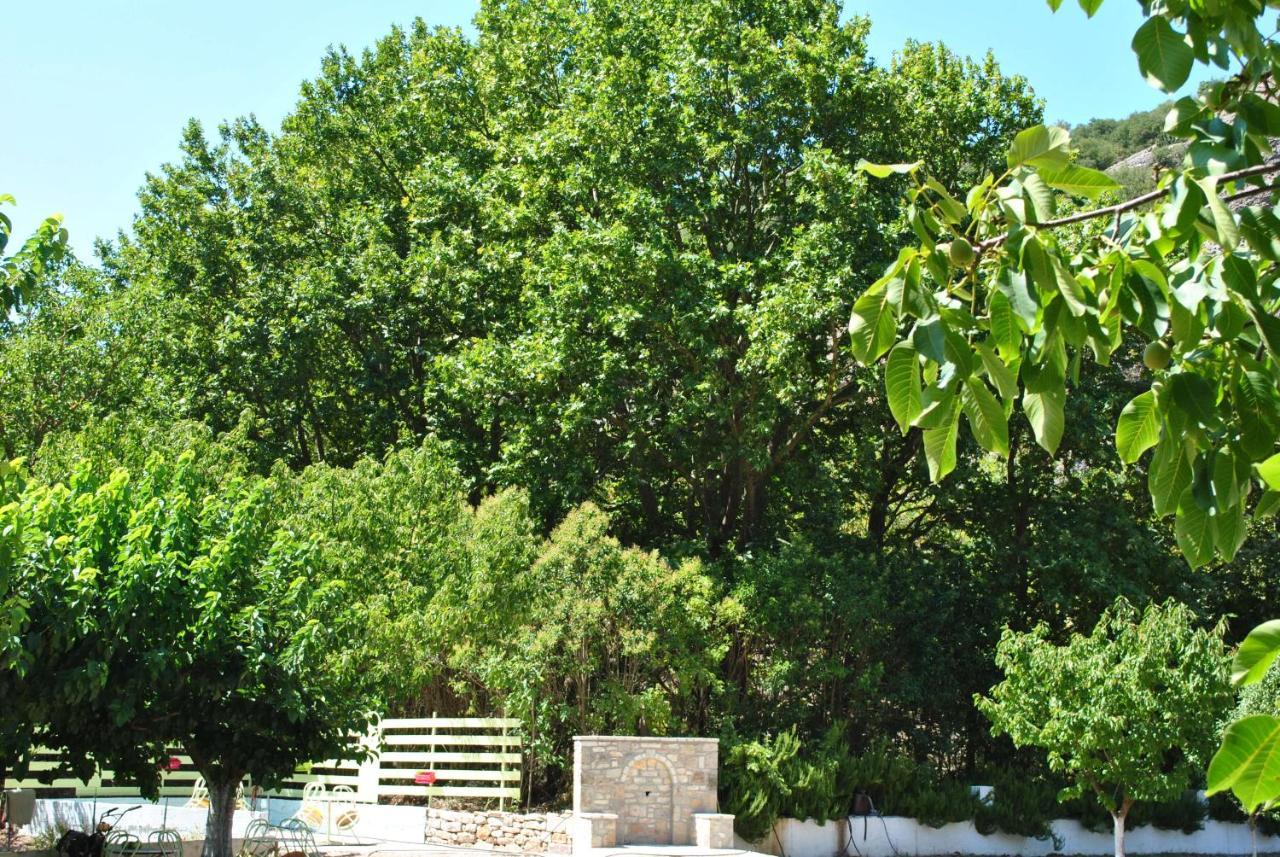 Guesthouse Eleftherios Kalavryta Dış mekan fotoğraf