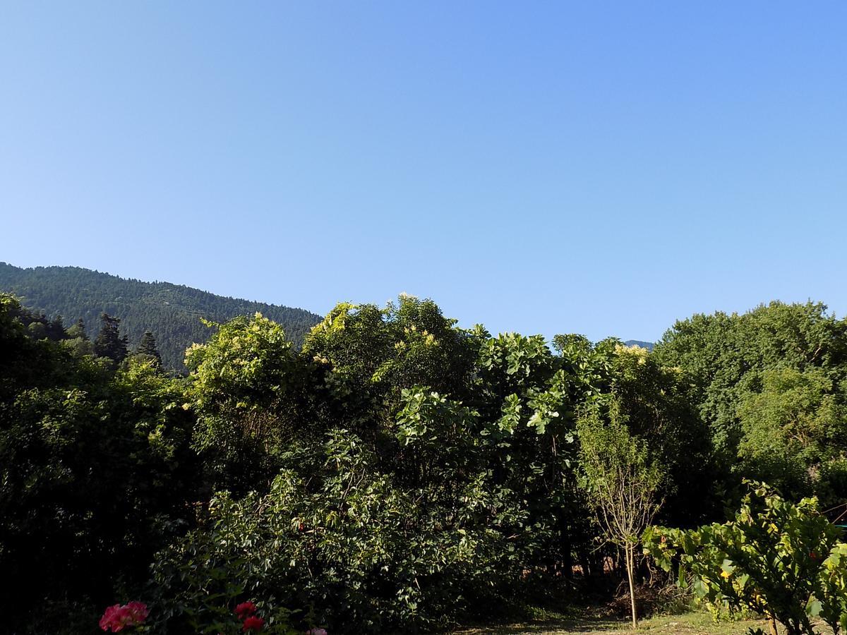 Guesthouse Eleftherios Kalavryta Dış mekan fotoğraf