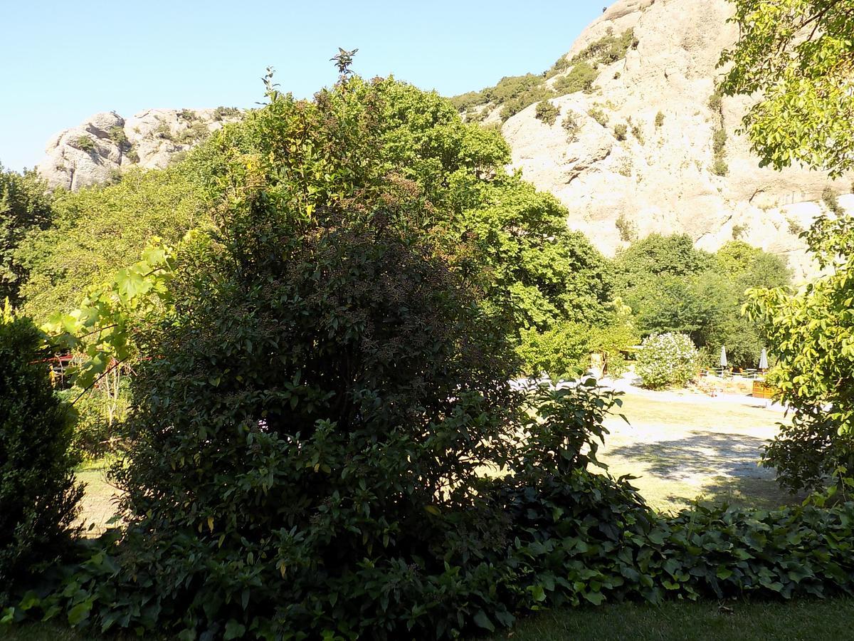 Guesthouse Eleftherios Kalavryta Dış mekan fotoğraf