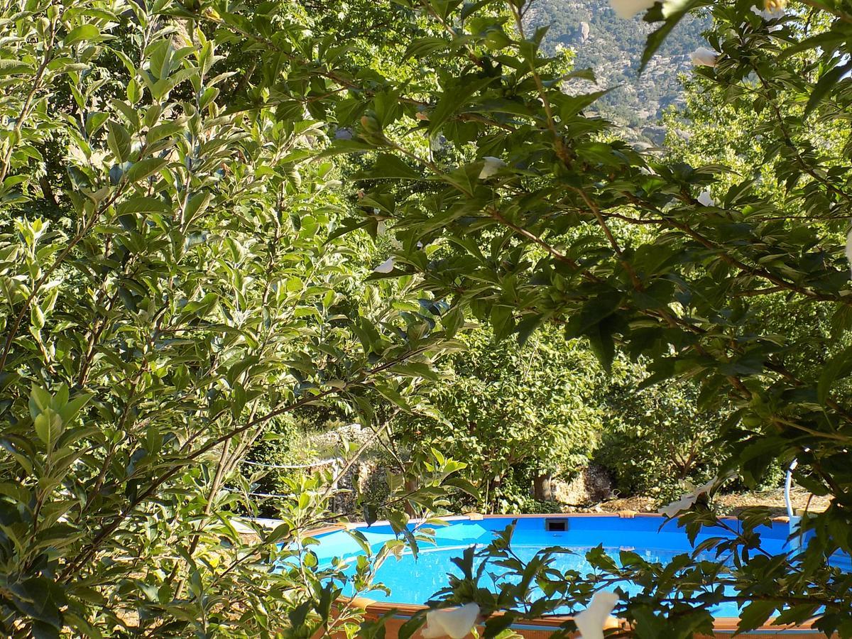 Guesthouse Eleftherios Kalavryta Dış mekan fotoğraf
